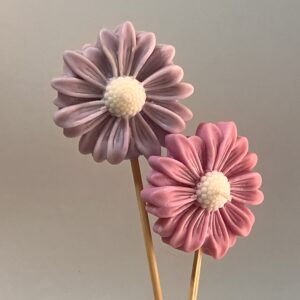 Vela "Margarita Kandel"