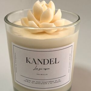 Vela "Natural con Suculenta"