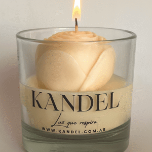 Vaso Tenesse + Rosa “Amanecer”