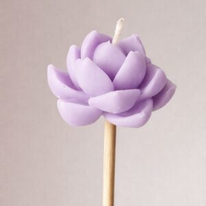 Vela Suculenta “Serena”