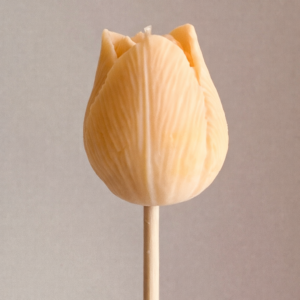 Vela Tulipán “Alba”