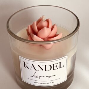 Vela "Natural con Suculenta"